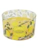 Garden Spirit Geurkaars geel - 370 g (verrassingsproduct)