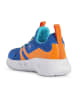Geox Sneakers "Assister" in Blau/ Orange