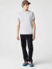Lacoste Shirt in Hellgrau