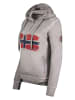 Geographical Norway Hoodie grijs