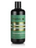 Peptid+ Shampoo "Peptid+ Tea Tree Energizing Anti Hair loss", 500 ml
