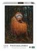 ambassador 1.000tlg. Puzzle "Orang-Utan" - ab 14 Jahren