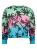 Vingino Sweatshirt "Nesta" in Bunt