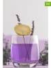 Violeta Home 6er-Set: Gläser in Transparent - 215 ml
