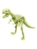 HCM Spielfigur "T-Rex" - ab 5 Jahren
