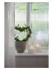 STAR Trading Ledwindlicht "Flame Romb" wit