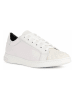 Geox Leren sneakers "Jaysen" wit