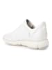 Geox Leren sneakers "Nebula" wit