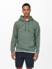 ONLY & SONS Hoodie "Ceres" grijs
