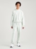 Levi´s Sweatshirt mintgroen