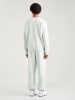 Levi´s Sweatshirt mintgroen