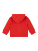 loud + proud Bluza w kolorze czerwonym
