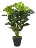 Garden Spirit Kunstplant groen - (H)14,5 x (H)80 cm