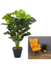 THE HOME DECO FACTORY Sztuczna roślina w kolorze zielonym - 14,5 x 80 cm