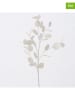Boltze Gałązki ozdobne (2 szt.) "Eukalyptus" w kolorze białym - 25 x 90 cm