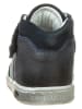 Primigi Leren sneakers donkerblauw