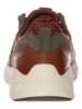 Timberland Leder-Sneakers "Bradstreet Ultra Sock Fit Ox" in Khaki - Weite M