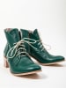 Zapato Leder-Ankle-Boots in Grün