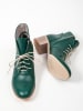 Zapato Skórzane botki w kolorze zielonym