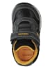 Geox Sneakers "Rishon" in Schwarz/ Blau