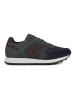 Geox Sneakers "Ponente" antraciet/zwart