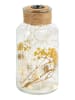moses. Decoratieve verlichte fles - (H)8 x Ø 16 cm (verrassingsproduct)