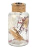 moses. Decoratieve verlichte fles - (H)8 x Ø 16 cm (verrassingsproduct)