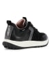 Geox Sneakers "Delray" in Schwarz
