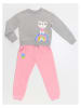 Denokids 2-delige outfit "Rainbow Cat" grijs/lichtroze