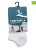 COTONELLA 3-delige set: sokken wit