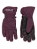 COLD Softshellhandschoenen pruimkleurig