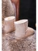 Rock & Joy Boots in Beige