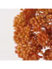 Boltze Gałązki dekoracyjne (3 szt.) w kolorze brązowym - dł. 35 cm