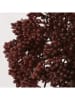 Boltze 3-delige set: steelbloemen bruin/lichtbruin - (L)35 cm