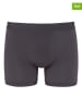 Sloggi Bokserki (2 pary) "Go Allround Short" w kolorze antracytowym