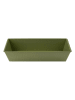 Zenker Kastenform "Green Vision" in Grün - (B)30,5 x (H)7 x (T)11,5 cm