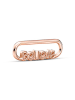 Pandora Rosévergold. Wort-Link "Believe"