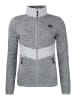 Peak Mountain Fleecejacke "Atormi" in Grau