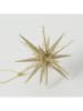 Boltze 2-delige set: decoratieve hangers "Tove" goudkleurig - Ø 14 cm