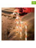 Hollybell 4er-Set: LED-Gartenstecker in Rot/ Weiß - (H)44 cm