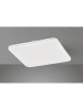 FISCHER & HONSEL Lampa sufitowa LED w kolorze białym - 48,5 x 48,5 cm