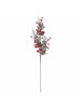 Villa d´Este Decoratieve tak groen/rood - (H)75 cm