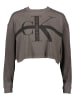 Calvin Klein Longsleeve in Grau