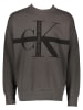 Calvin Klein Sweatshirt antraciet