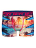 Spicy 8er-Set: Boxershorts in Bunt
