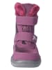 PEPINO Botki "Finja" w kolorze fioletowo-różowym