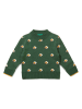 Little Green Radicals Pullover "From One To Another" in Grün
