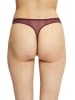 ESPRIT String bordeaux