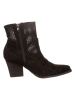 Bellucci Stiefeletten in Schwarz