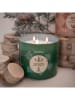Colonial Candle Świeca zapachowa "Mistletoe & Holly" - 396 g